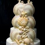 Monterey Bay Special Order
xlarge scallop shells plus shell mixture plus seahorse topper